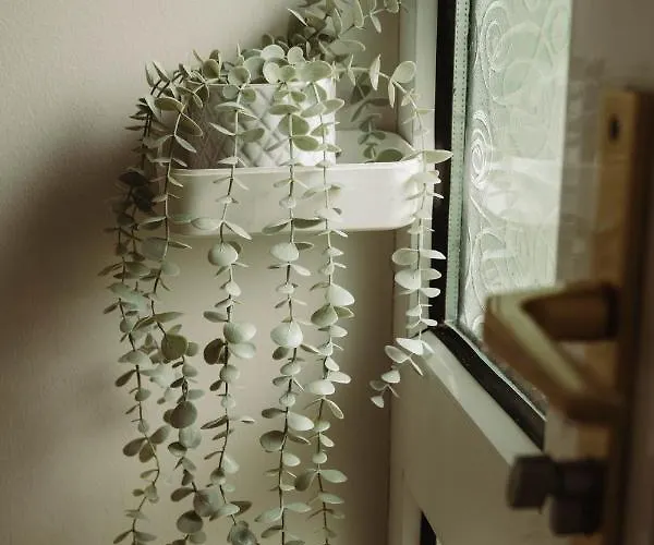 Donegal Estuary Homes *