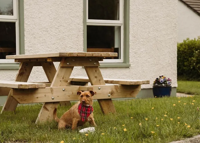 Vakantiehuis Donegal Estuary Homes Donegal Town